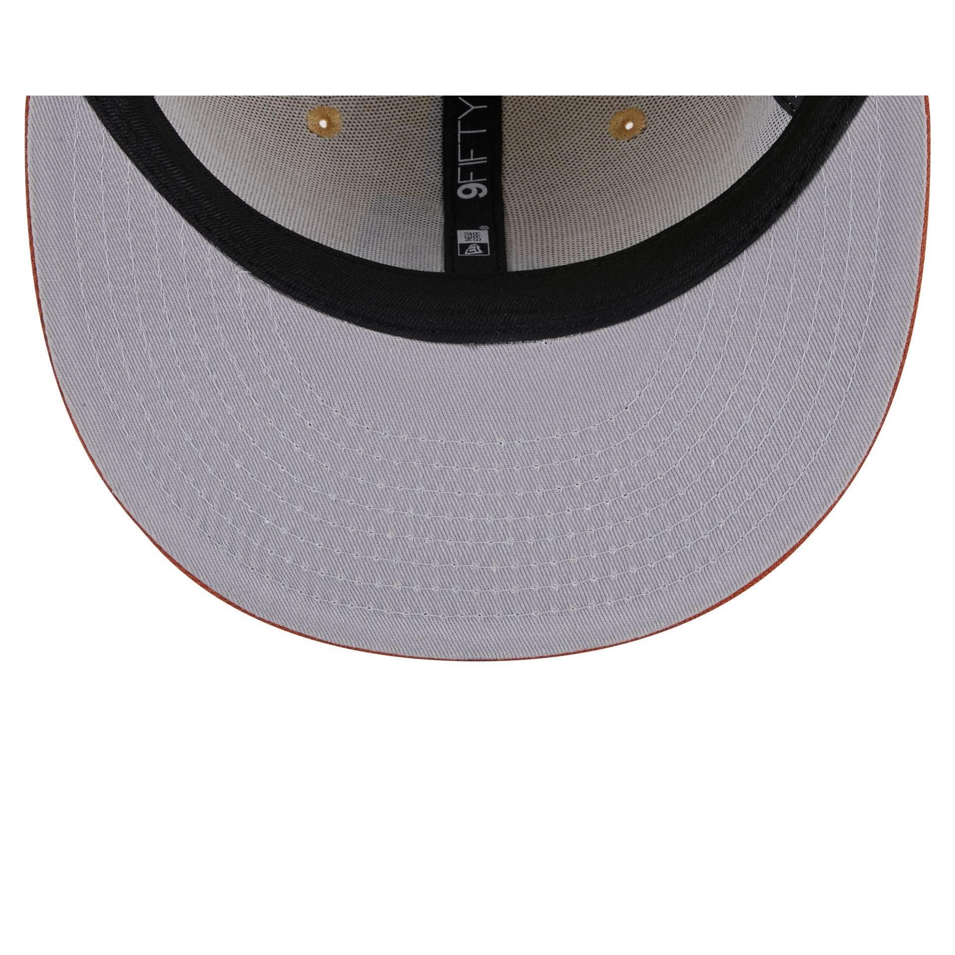 Arizona Diamondbacks Fall Landscape 9FIFTY Snapback Hat