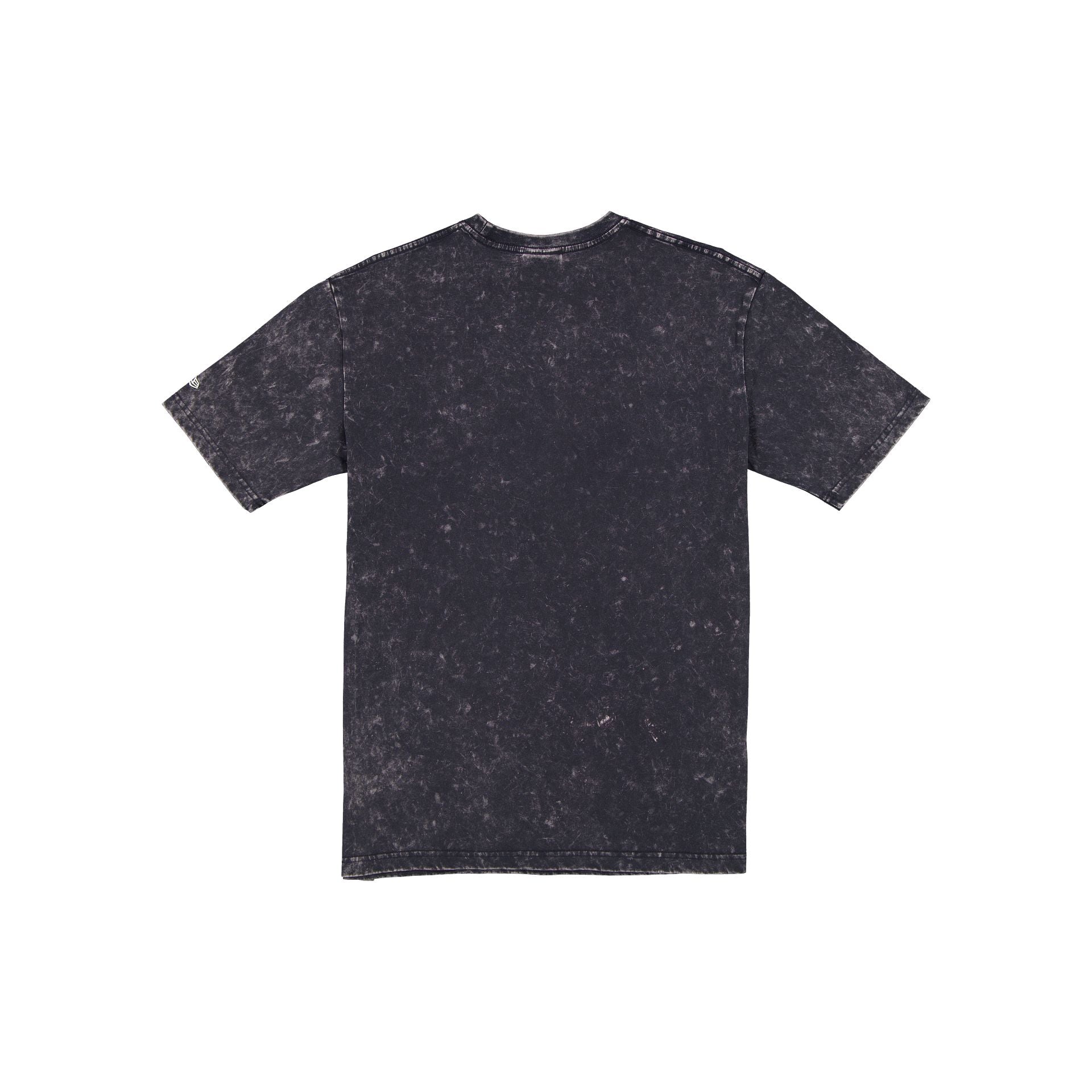 Las Vegas Raiders Sport Classics Team T-Shirt