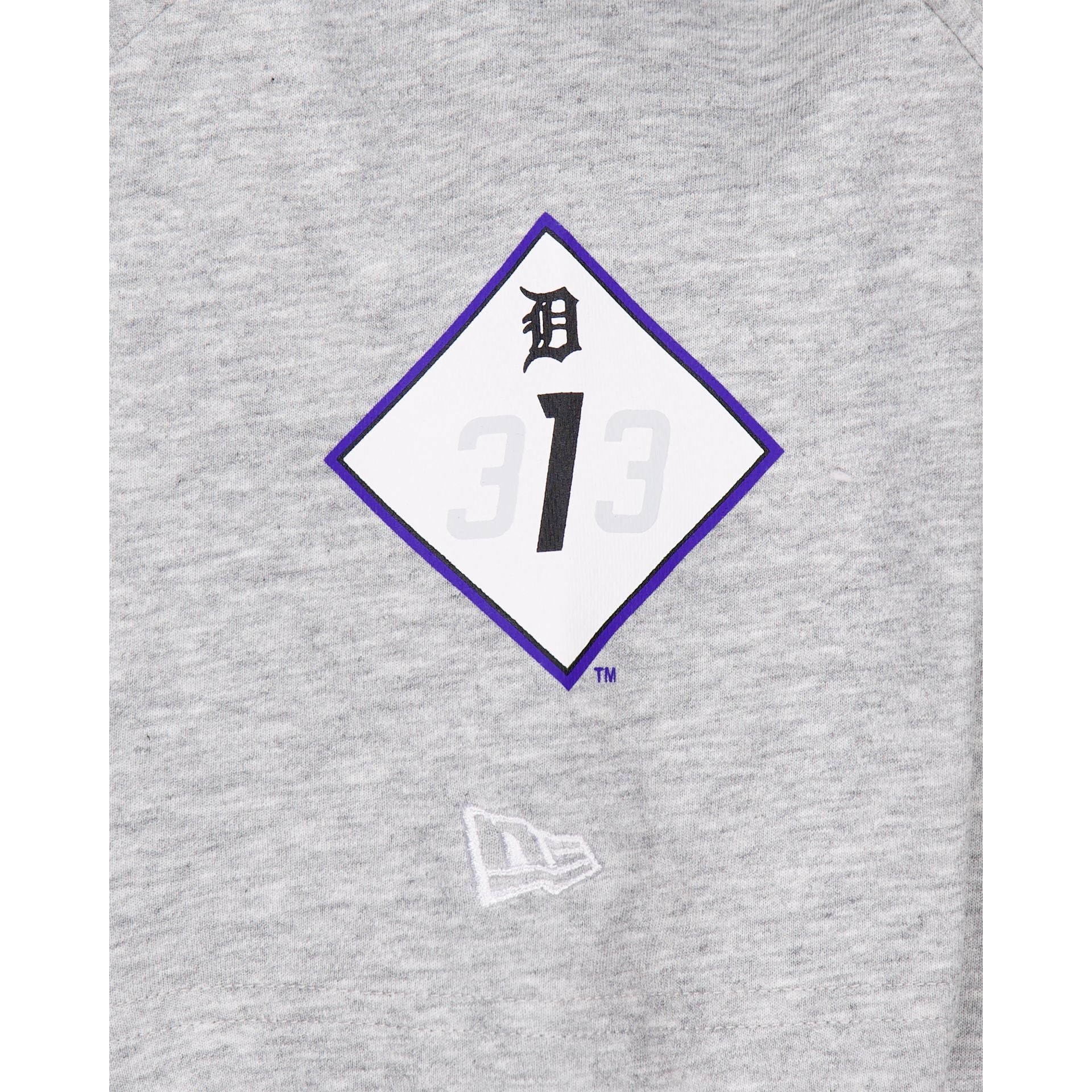 Detroit Tigers City Connect Gray T-Shirt