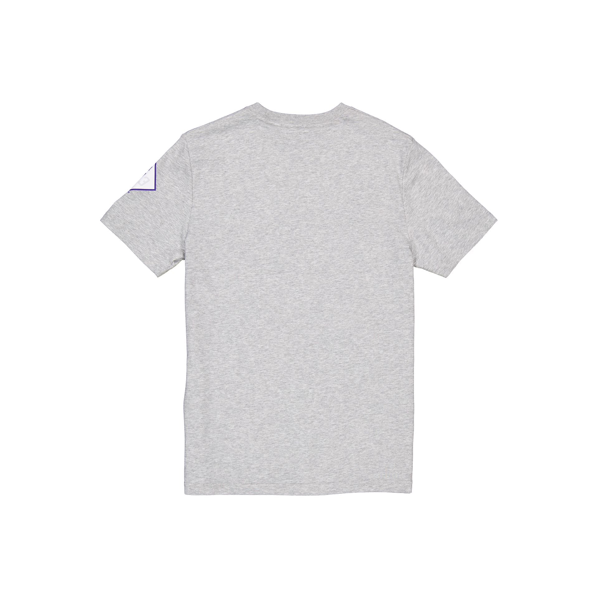 Detroit Tigers City Connect Gray T-Shirt