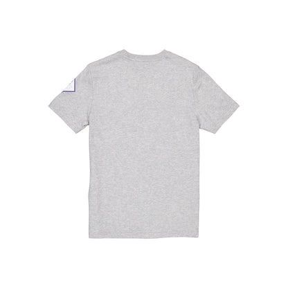 Detroit Tigers City Connect Gray T-Shirt